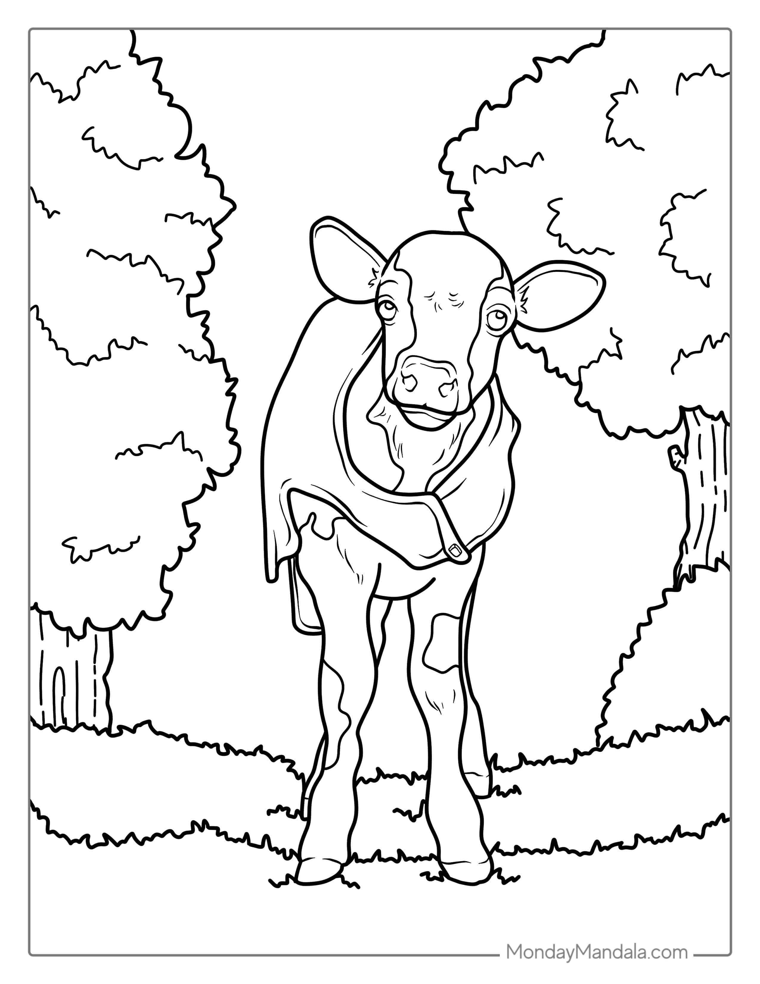 Cute Baby Cow Wearing A Jacket Coloring Pictute coloring page — printable line art