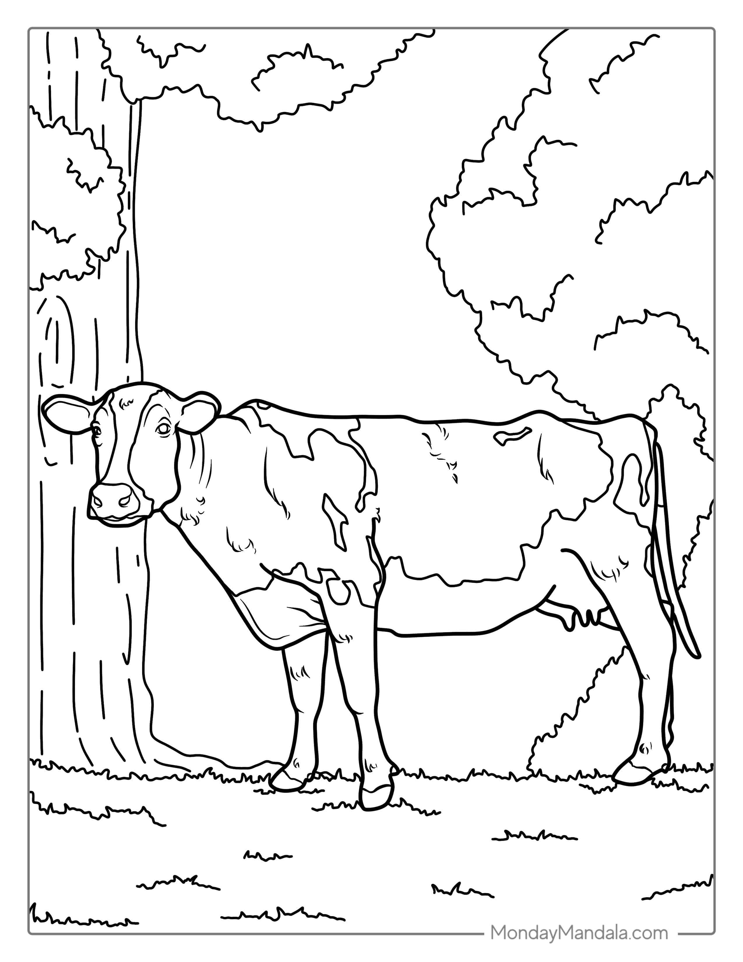 Dairy Cow Standing In Field_ coloring page
