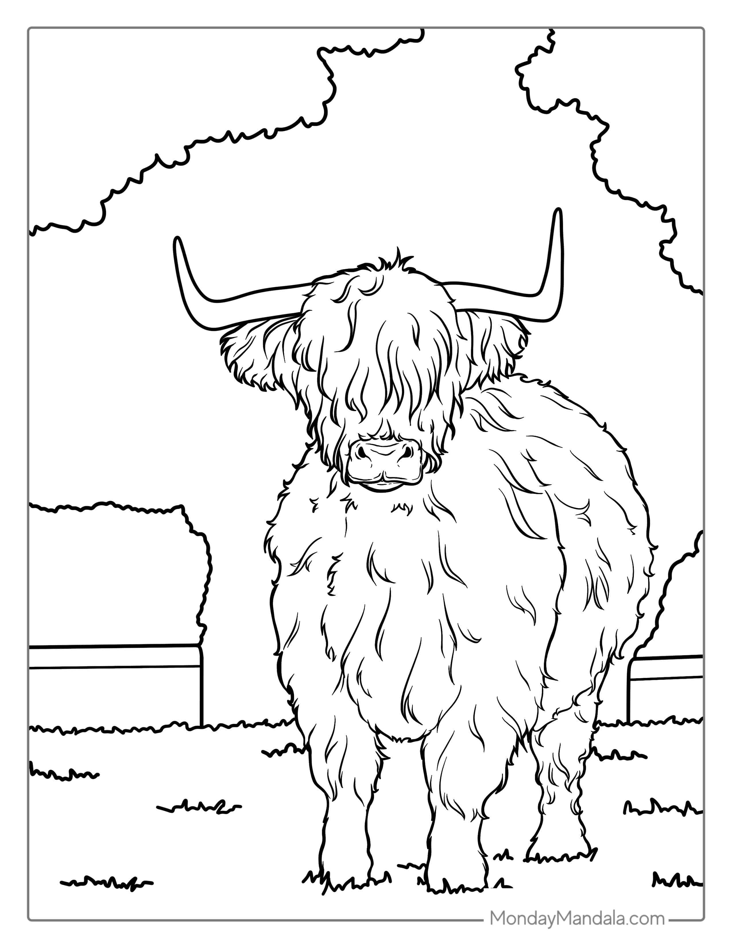 Fluffy Highland Cow Coloring Sheet For Kids coloring page — printable line art