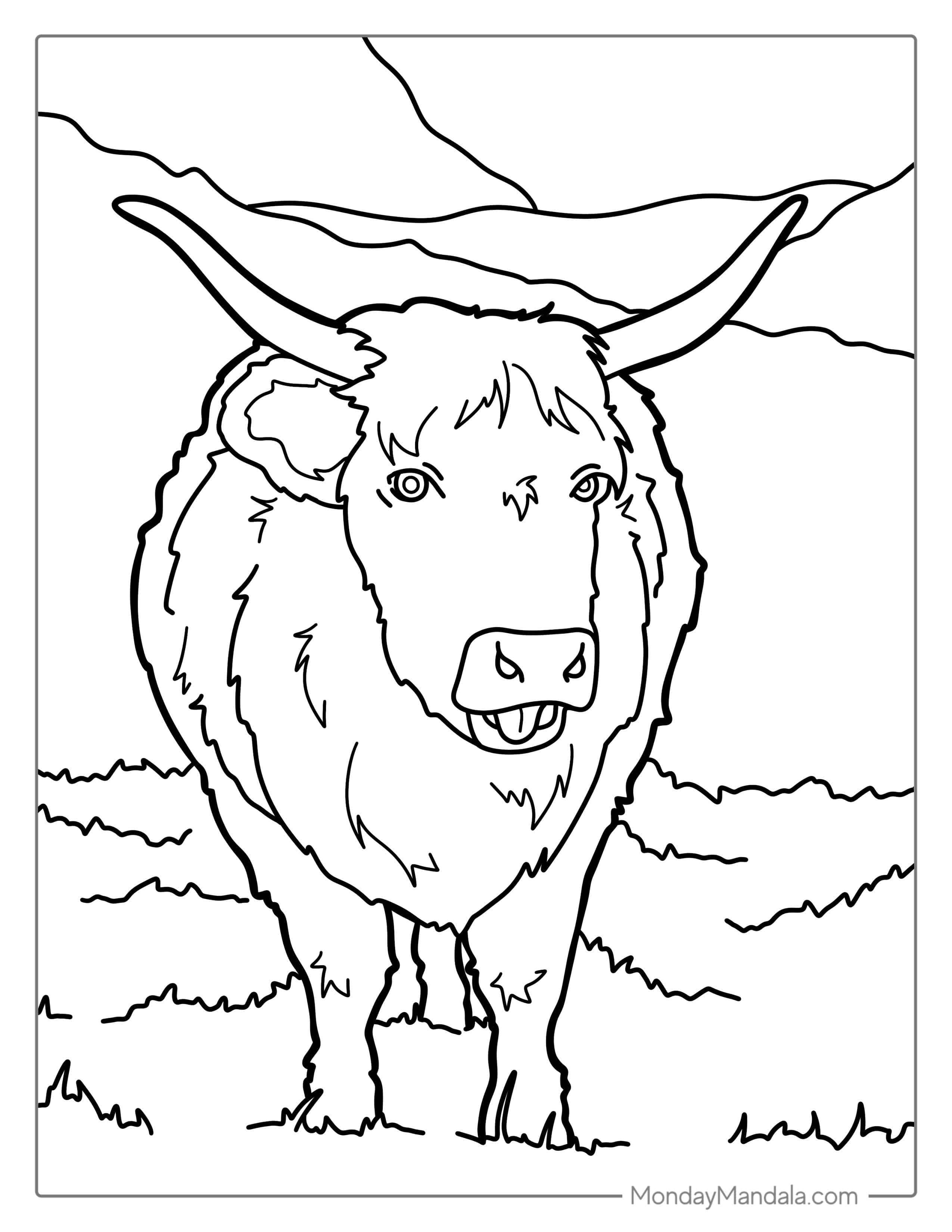 Shaggy Highland Bull Coloring Sheet coloring page — printable line art
