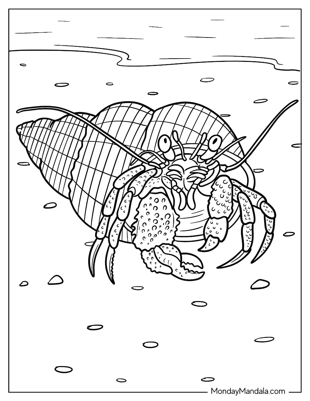 Detailed Hermit Crab Coloring Page In Shell coloring page