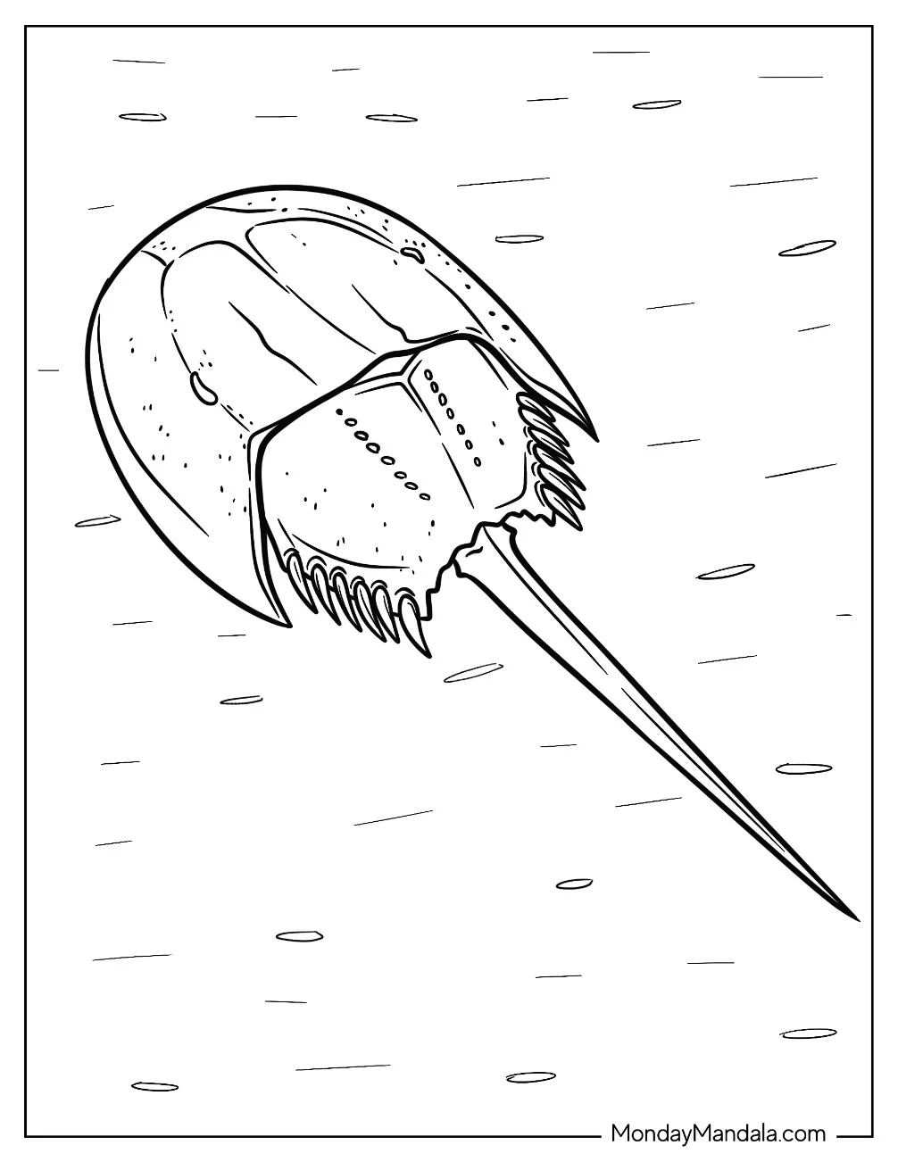 Horseshoe Crab Coloring Page coloring page — printable line art