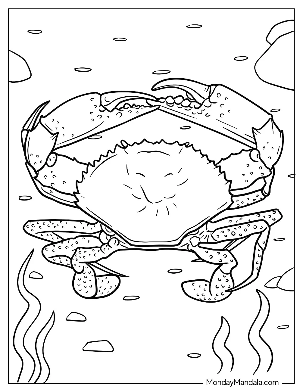 Male Mud Crab Coloring Page coloring page