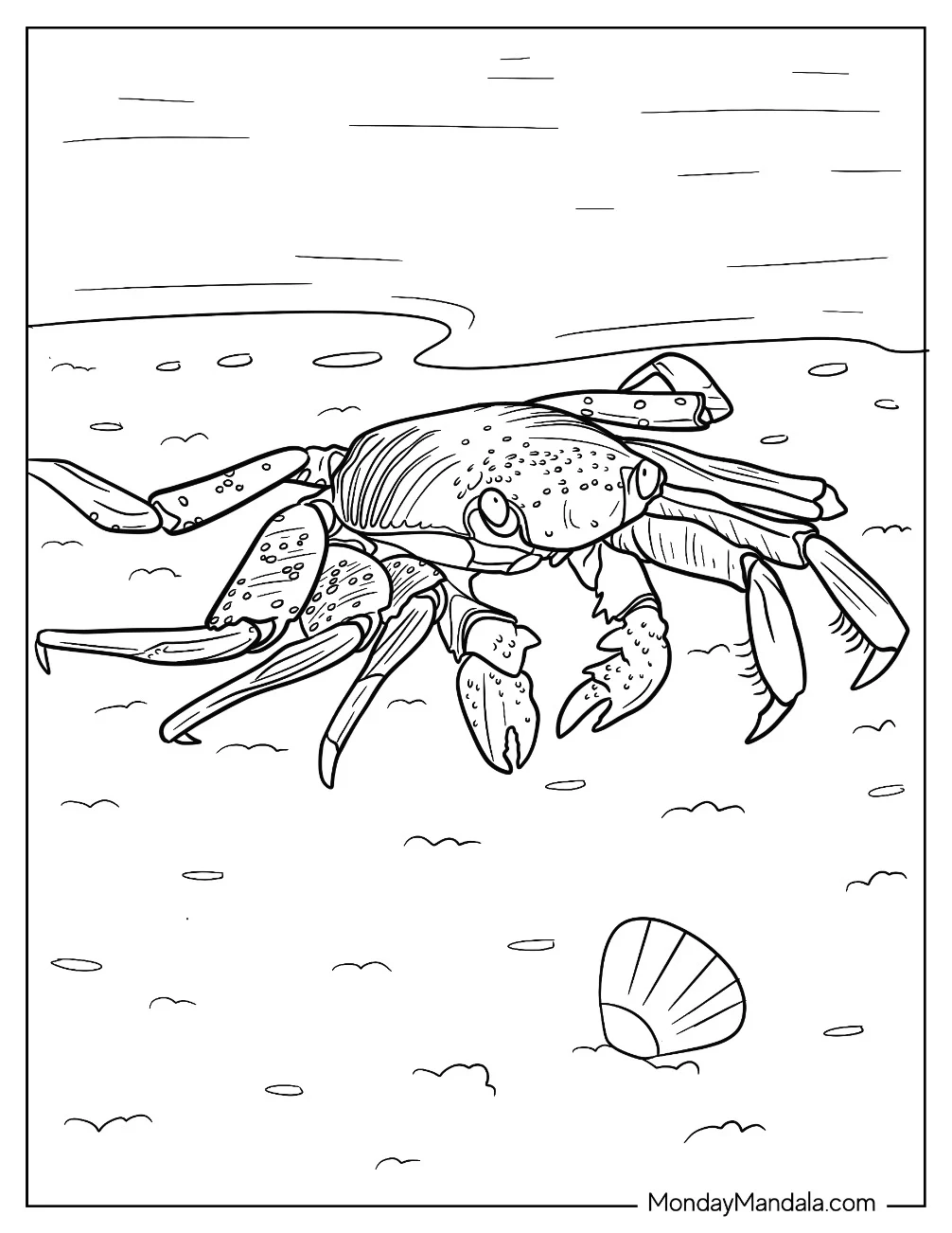 Sally Lightfoot Crab Coloring Page coloring page — printable line art