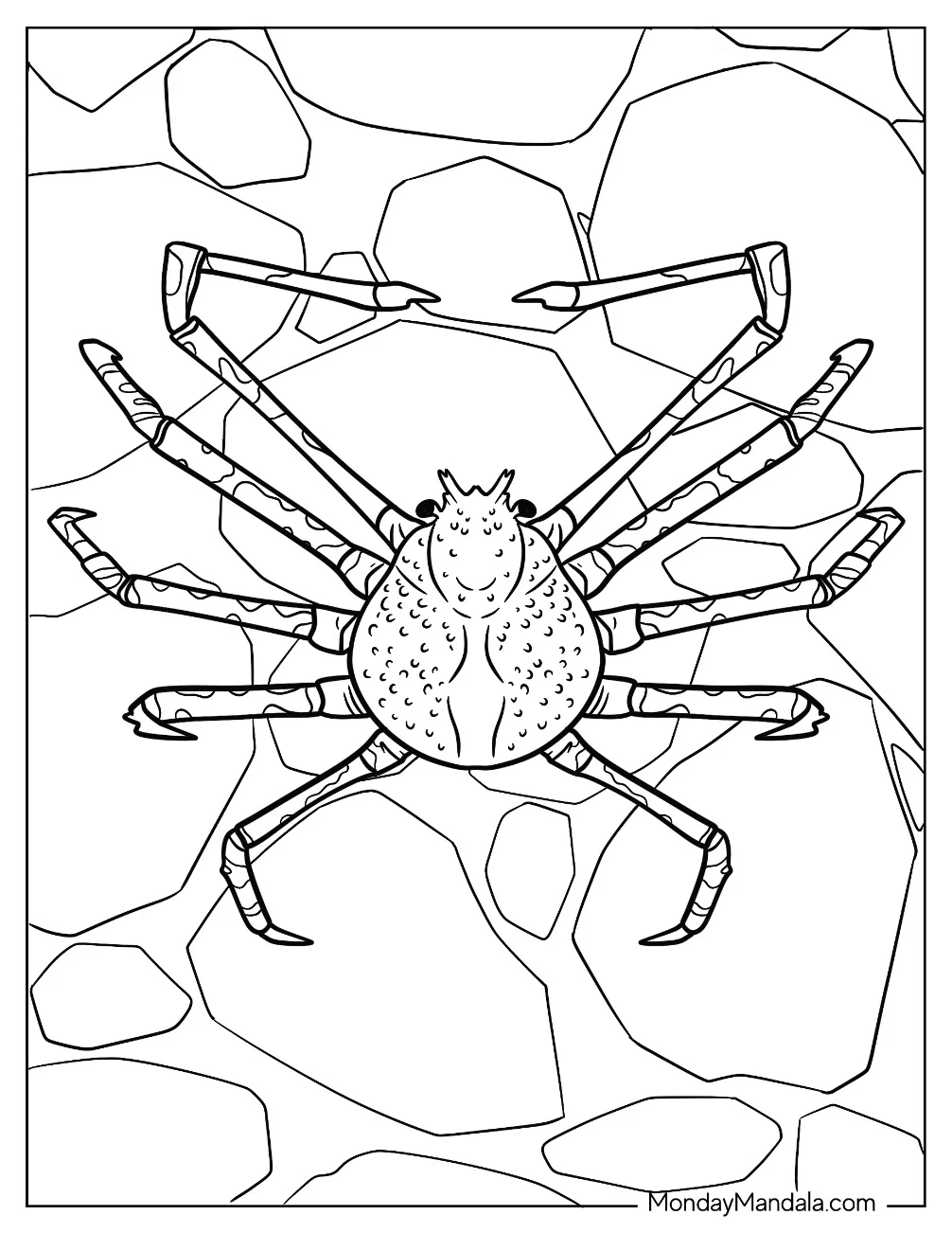 Spider Crab Coloring Page On Rocks coloring page