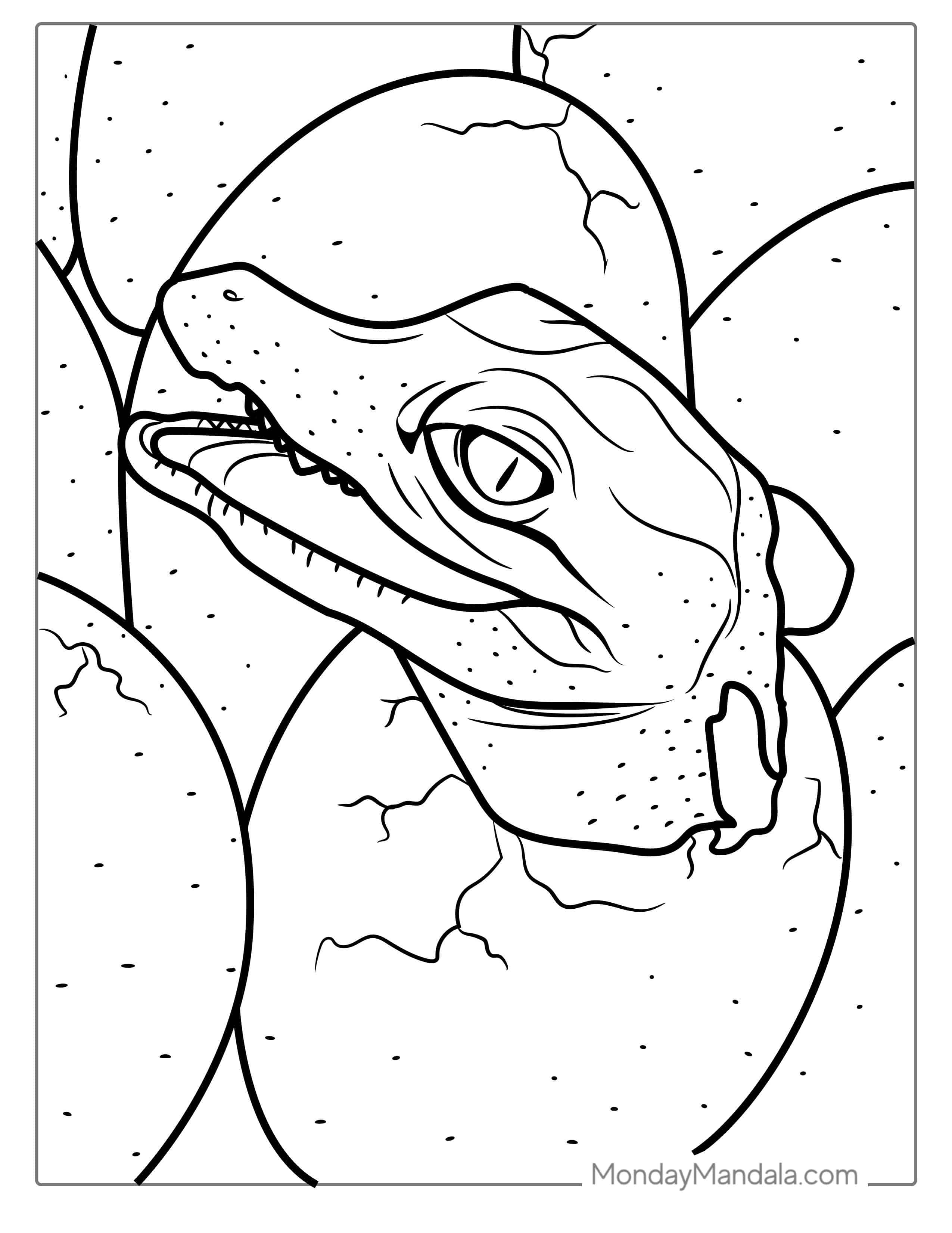 Coloring Page Of Baby Crocodile Hatching From Egg coloring page