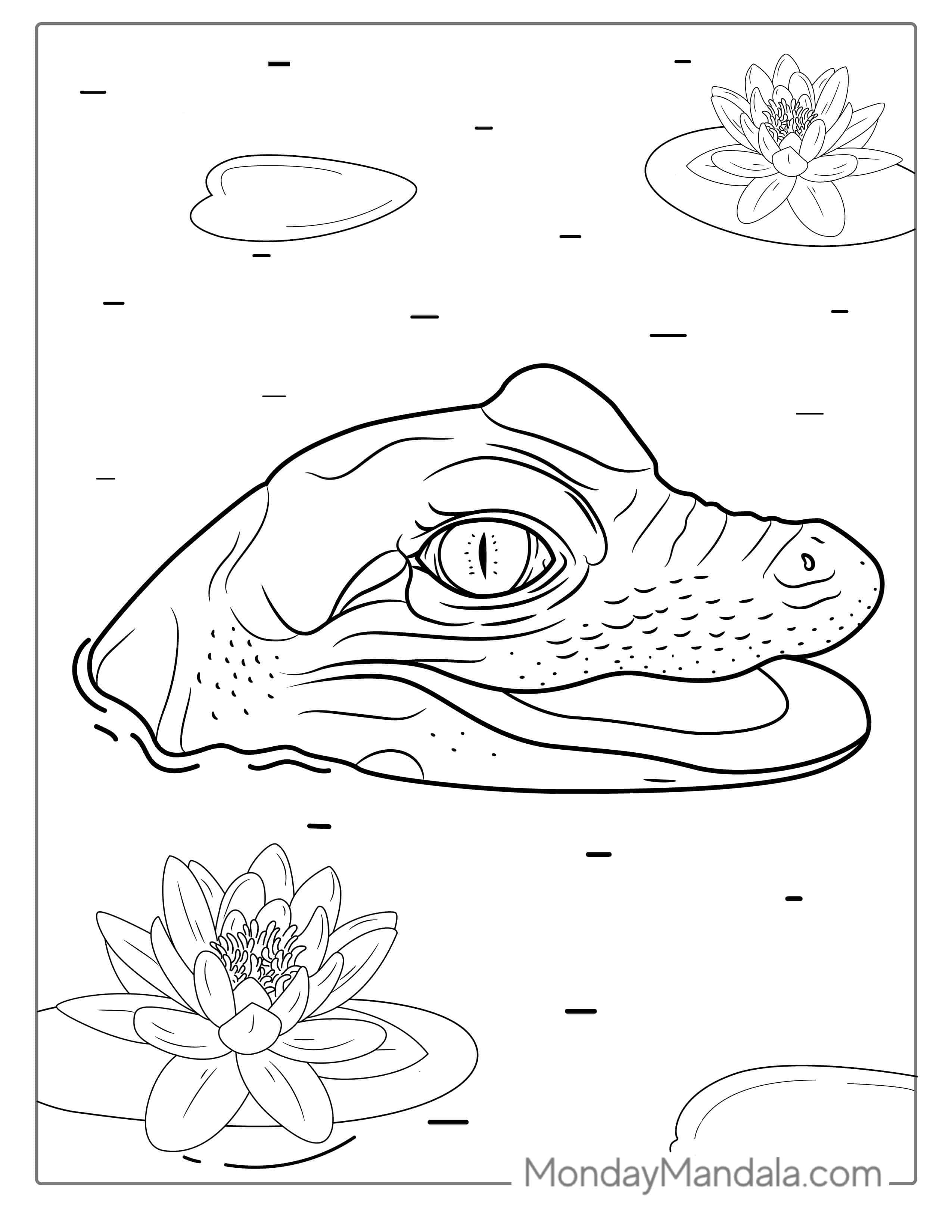 Coloring Page Of Baby Crocodile Poking Head Out Of Water coloring page — printable line art