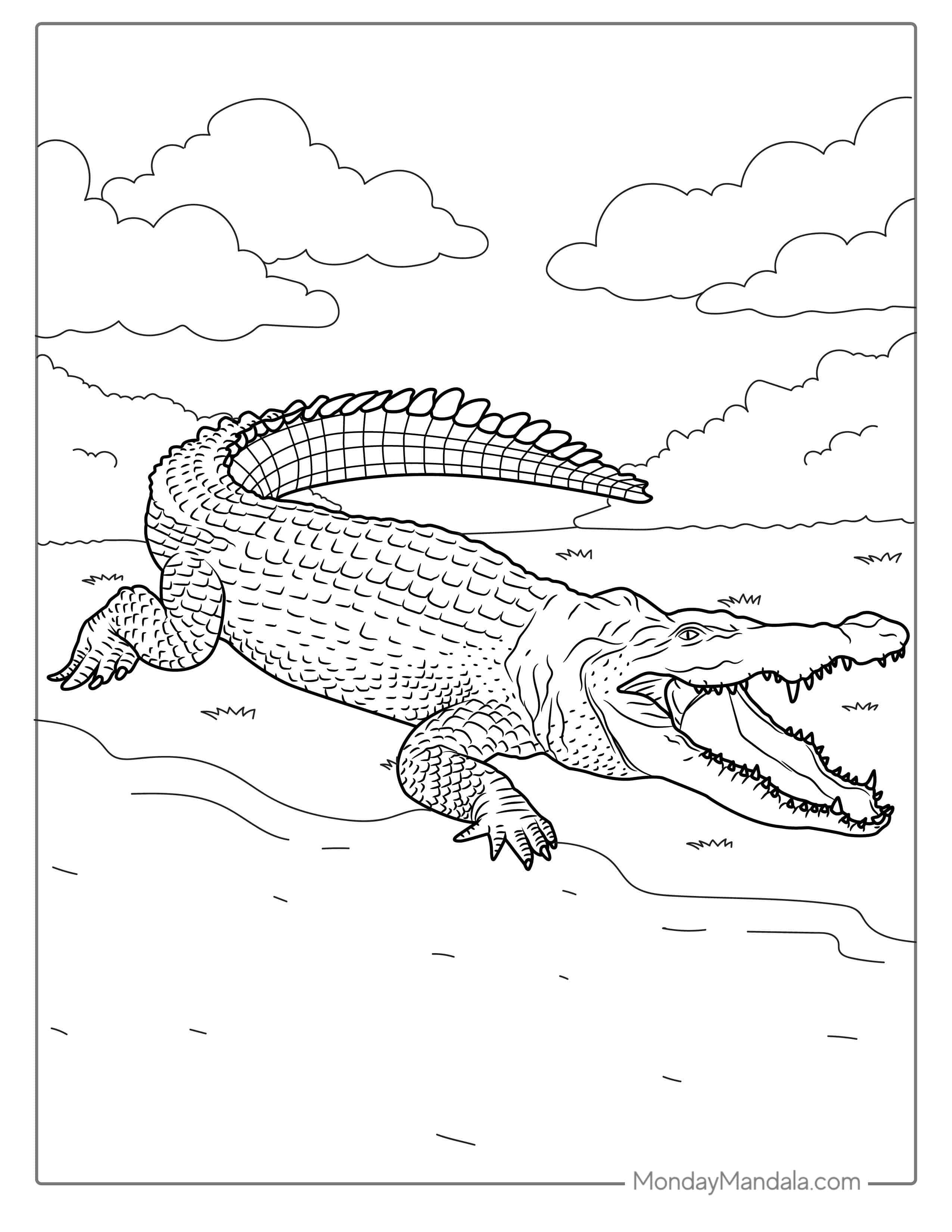 Detailed African Nile Crocodile To Color coloring page — printable line art
