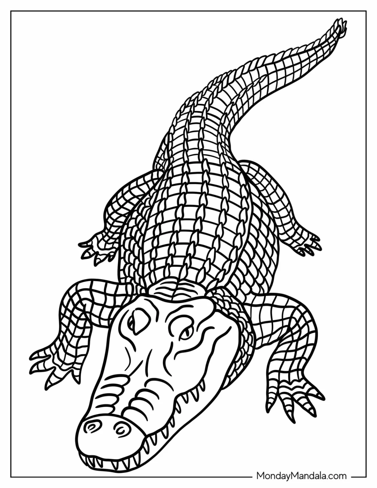 Easy Smiling Crocodile Coloring Page coloring page — printable line art