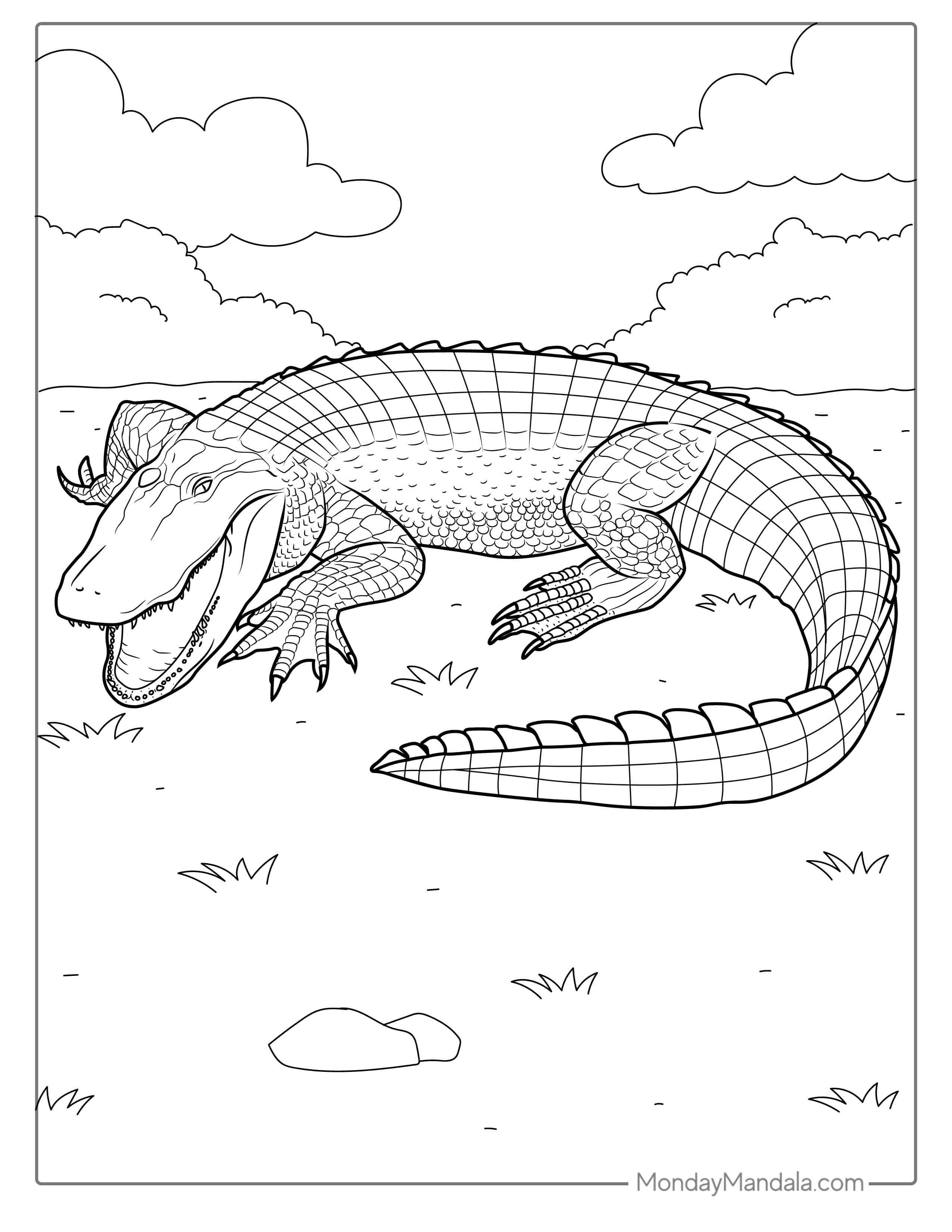 Realistic Coloring Page Of American Crocodile coloring page — printable line art