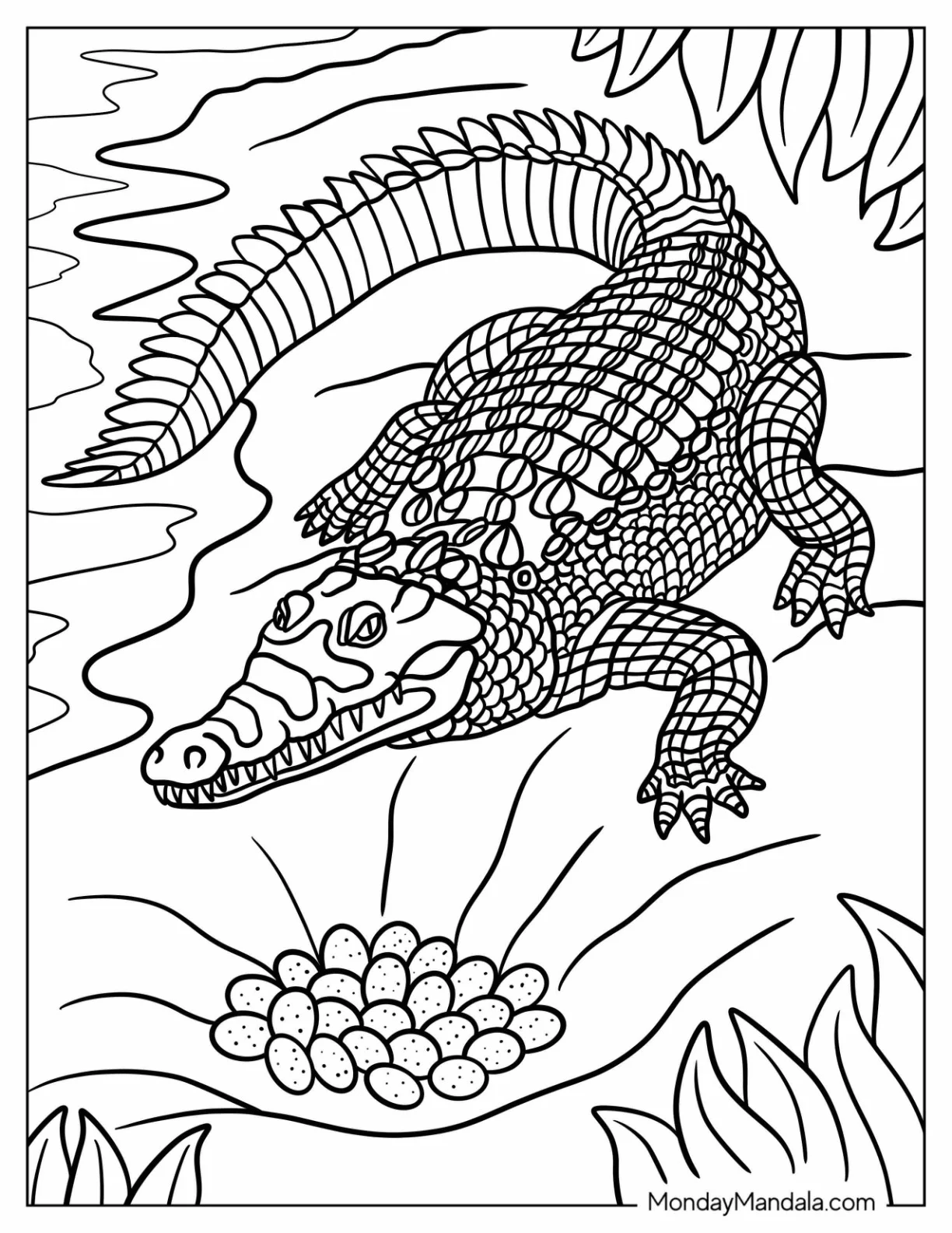 Realistic Crocodile Coloring Page at the Beach coloring page