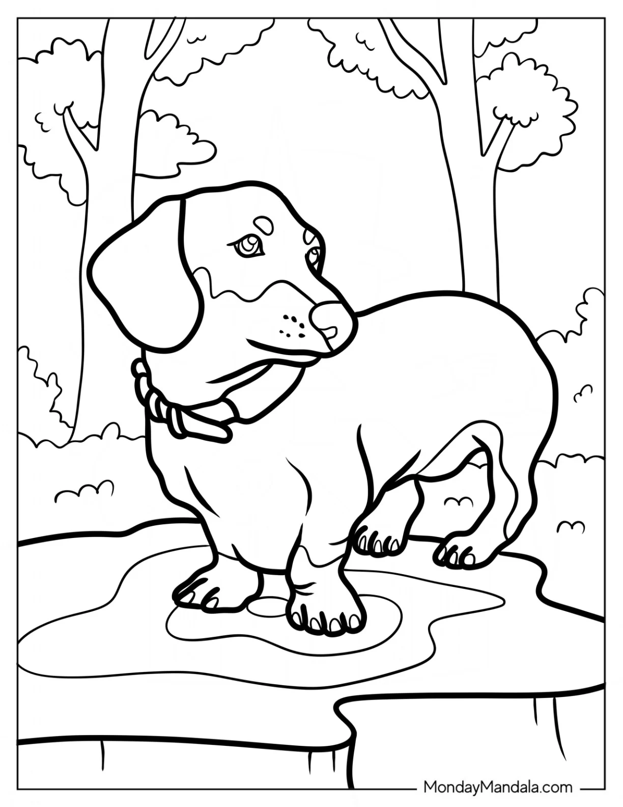 Puppy Dachshund Coloring Page In The Forest coloring page