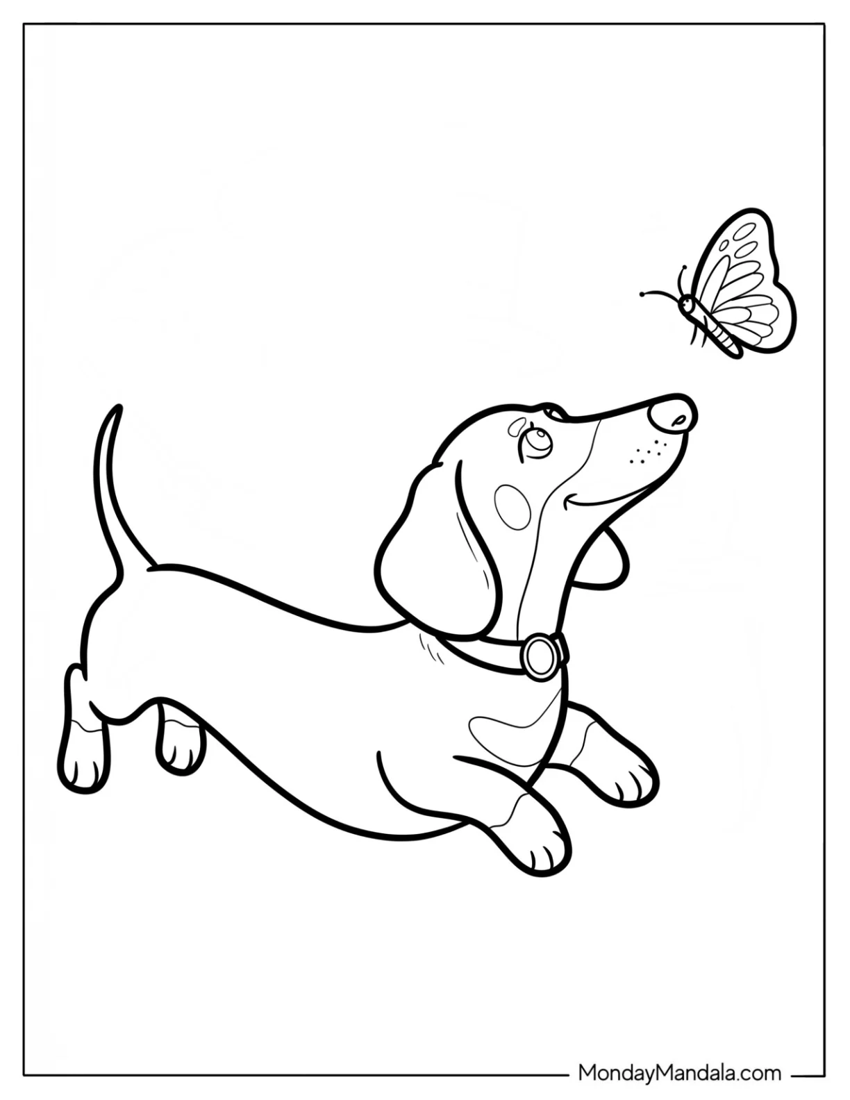 Sweet Dachshund Staring at Fluttering Butterfly Coloring Page for Kids coloring page