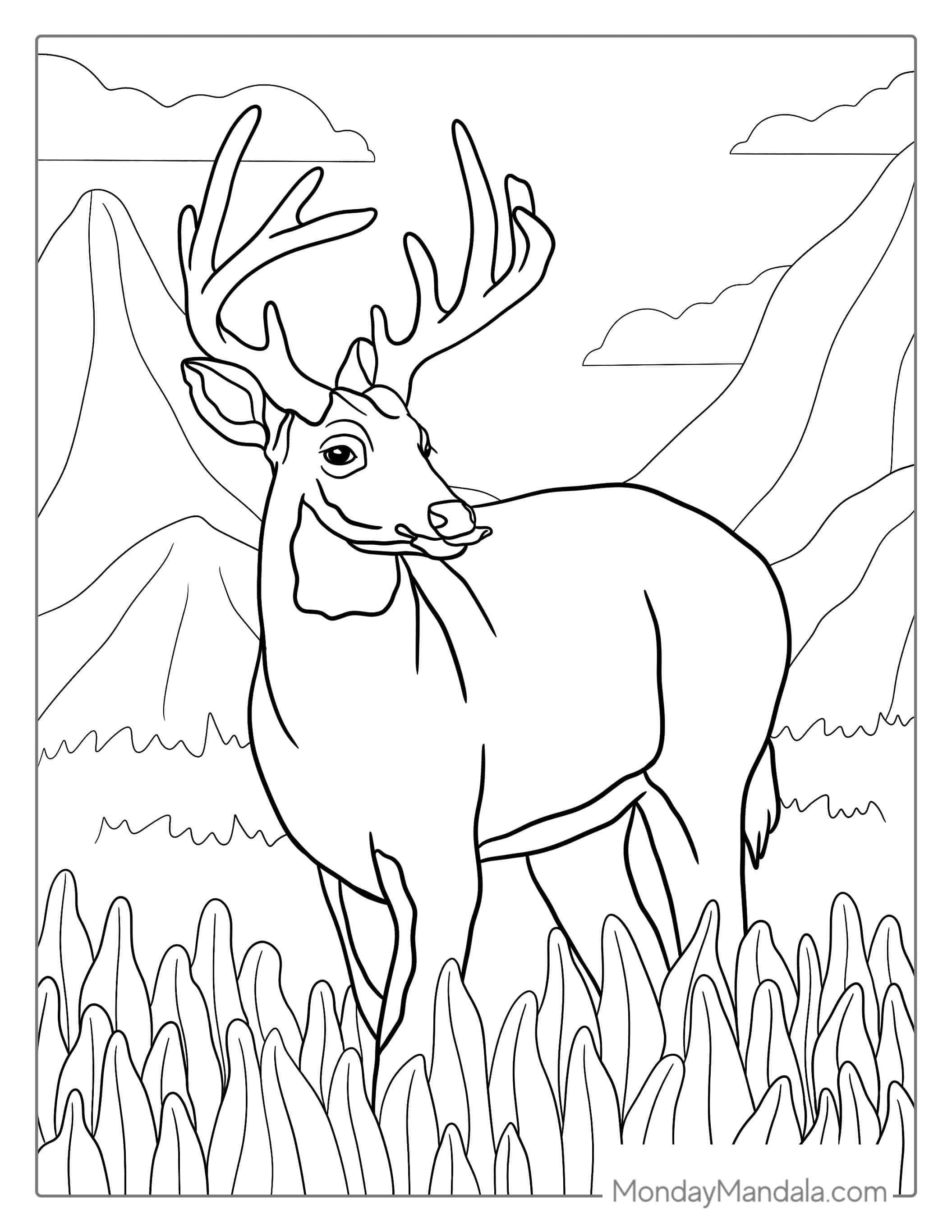 Coloring Picture Of a Deer Roaming In The Mountains coloring page