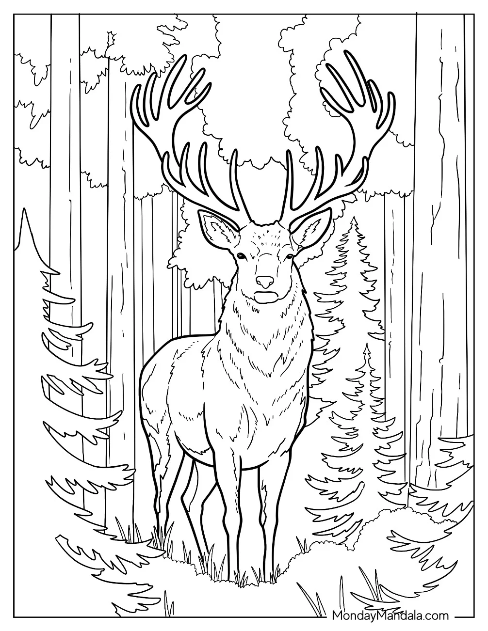 Elegant Realistic Deer Coloring Page in the Forest coloring page