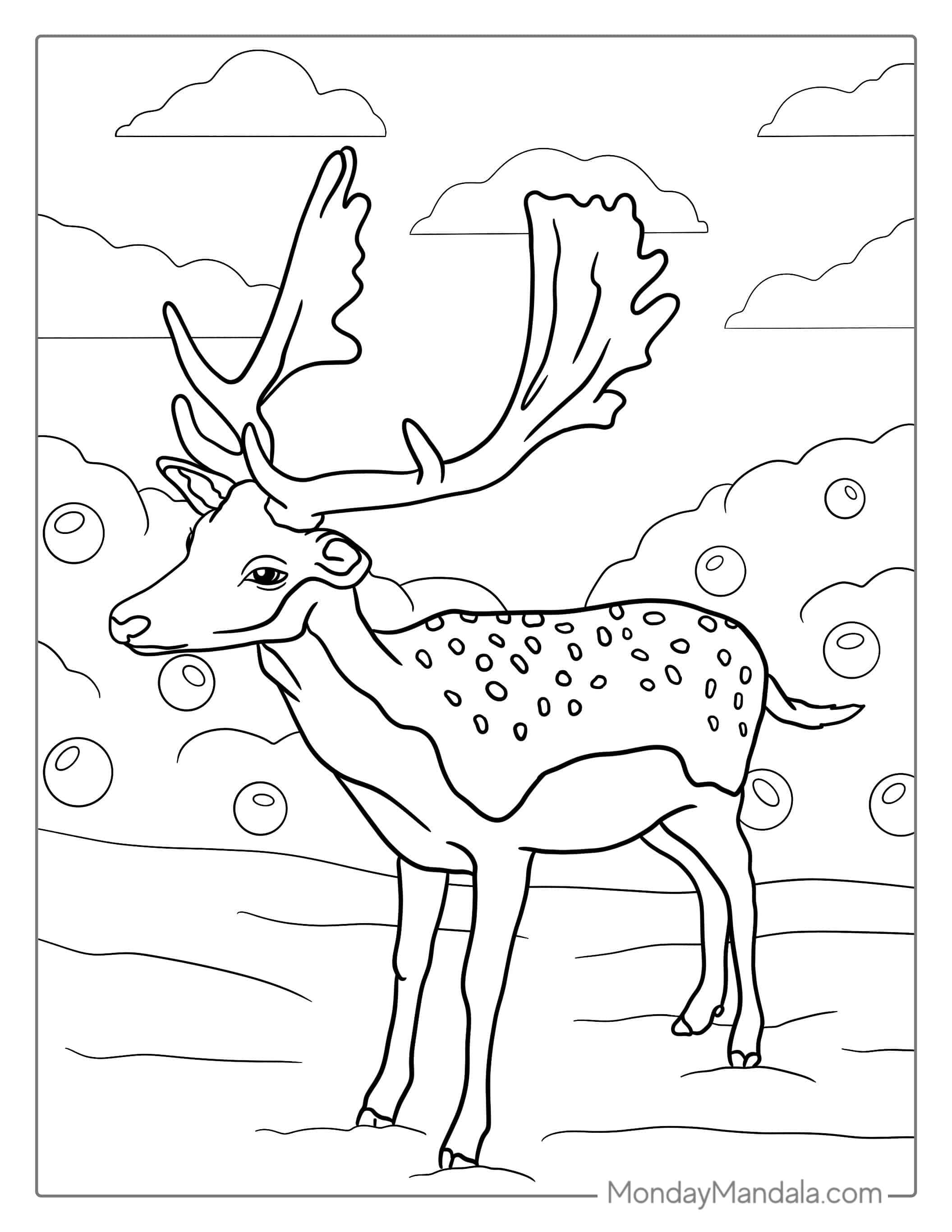 Fallow Deer Coloring Sheet For Kids coloring page — printable line art