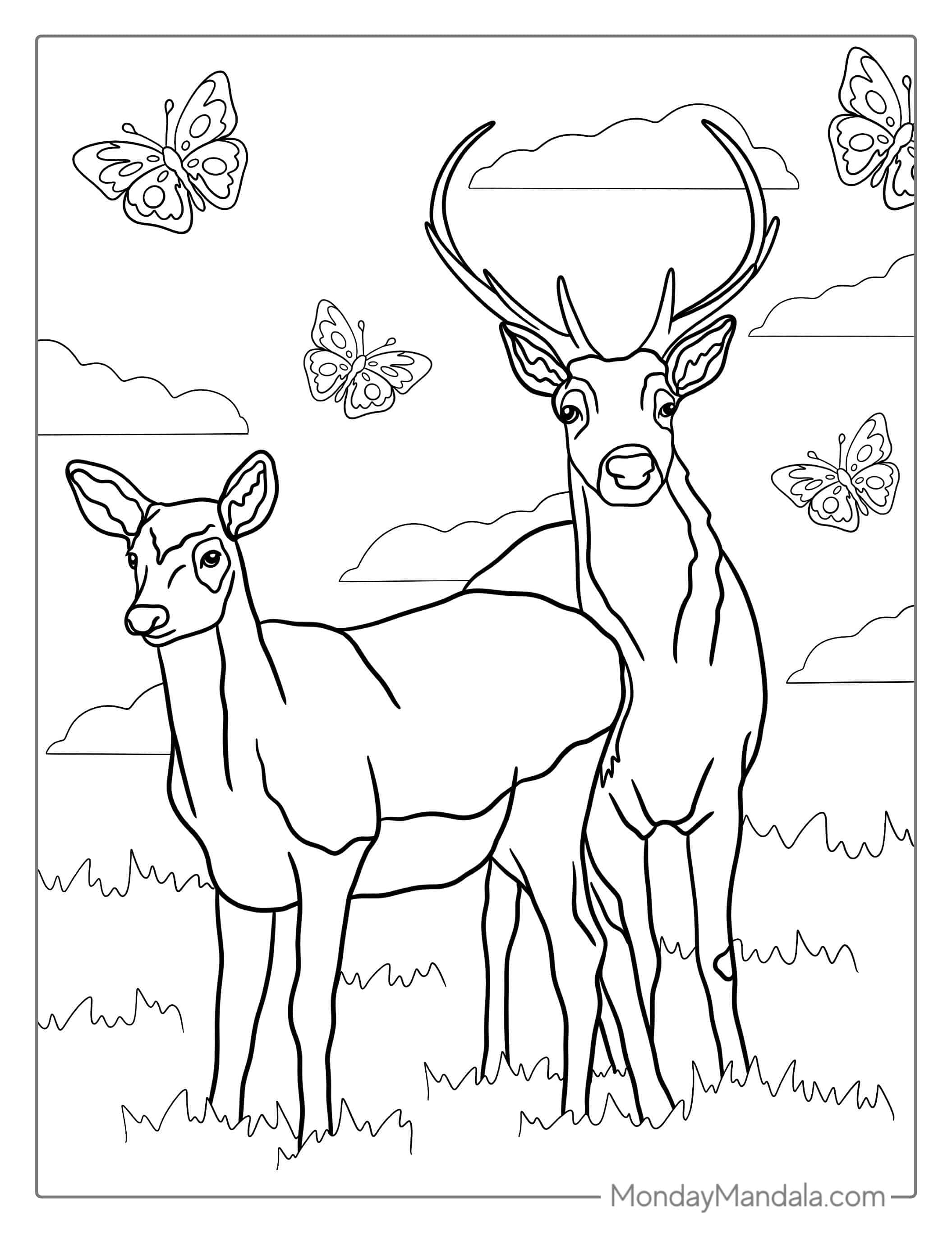Male And Female Deer Coloring Page coloring page