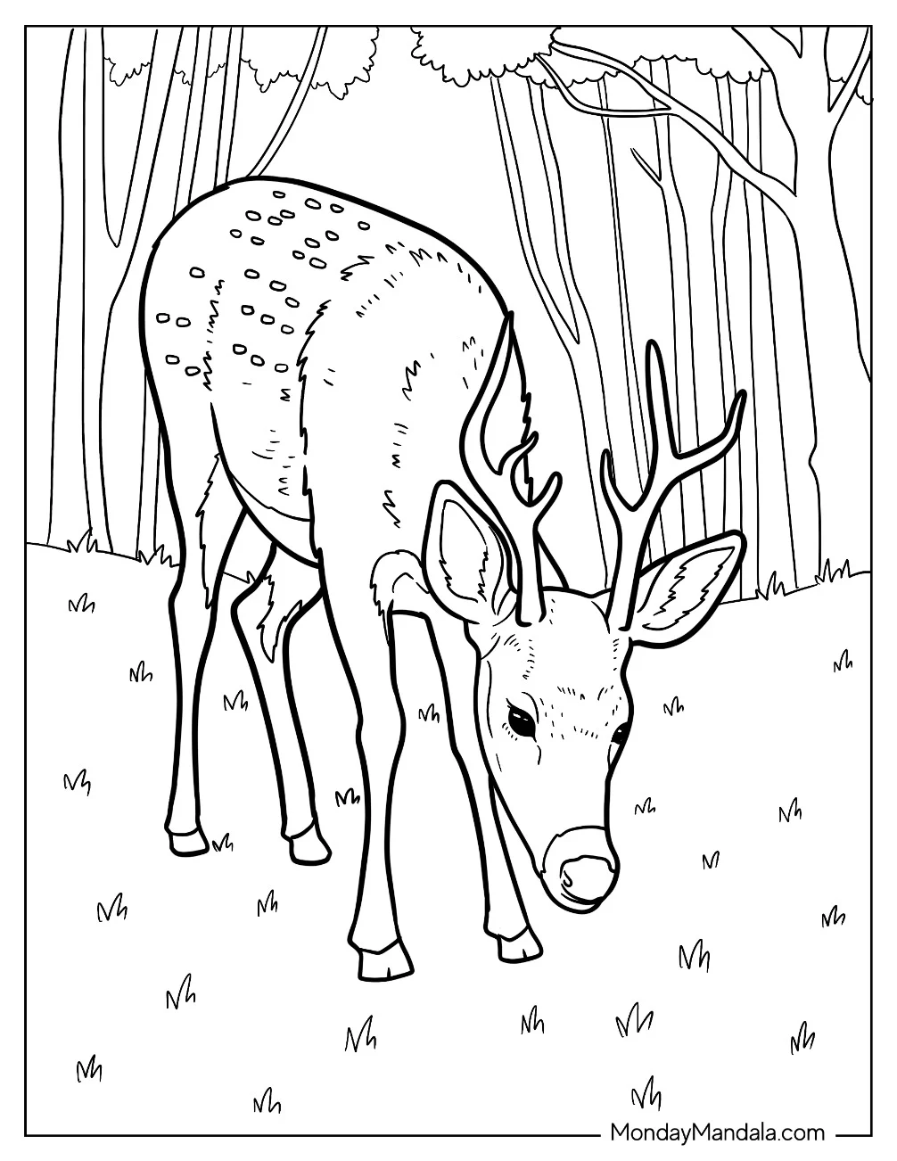 Realistic Deer Coloring Page in the Forest Eating Grass coloring page