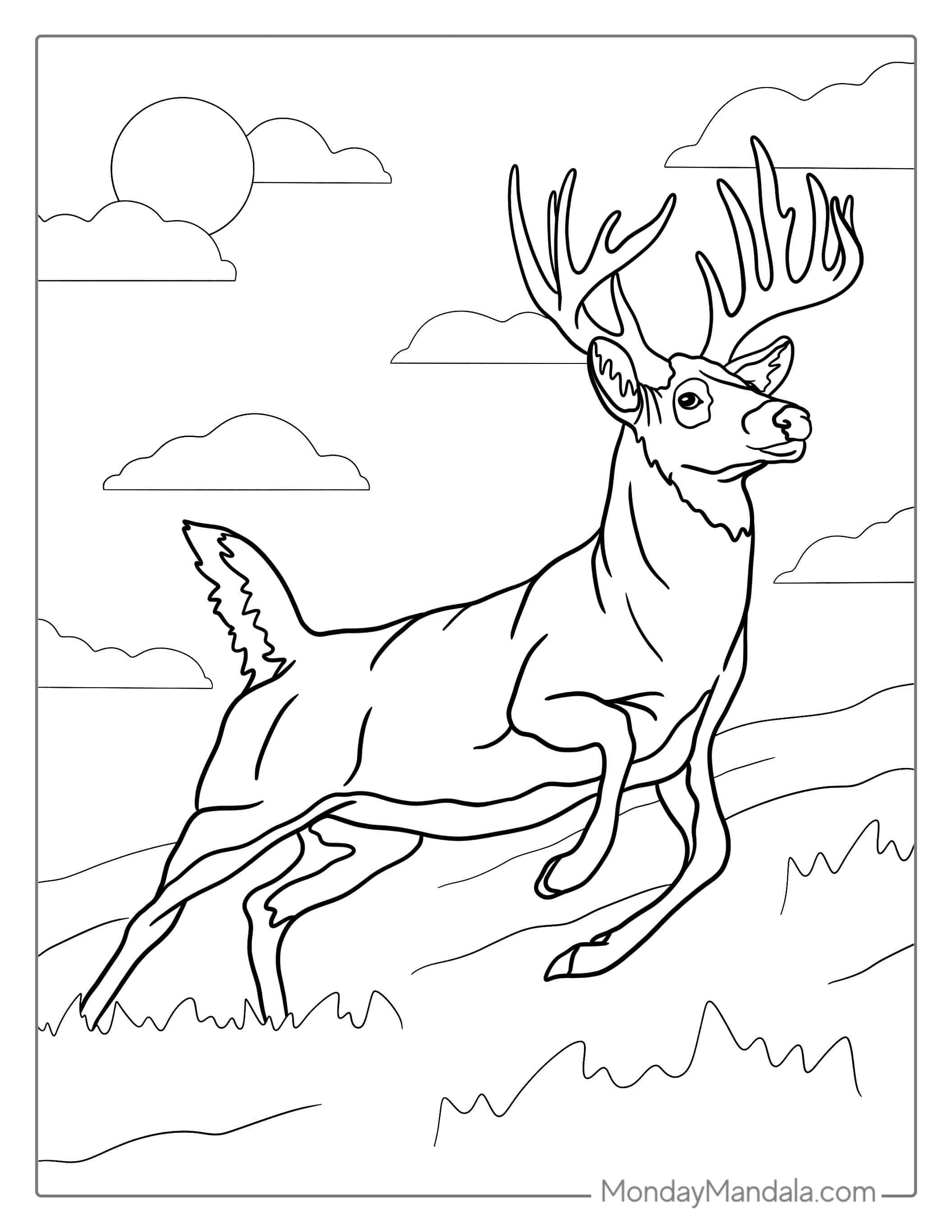 Realistic Deer Running Coloring Page coloring page