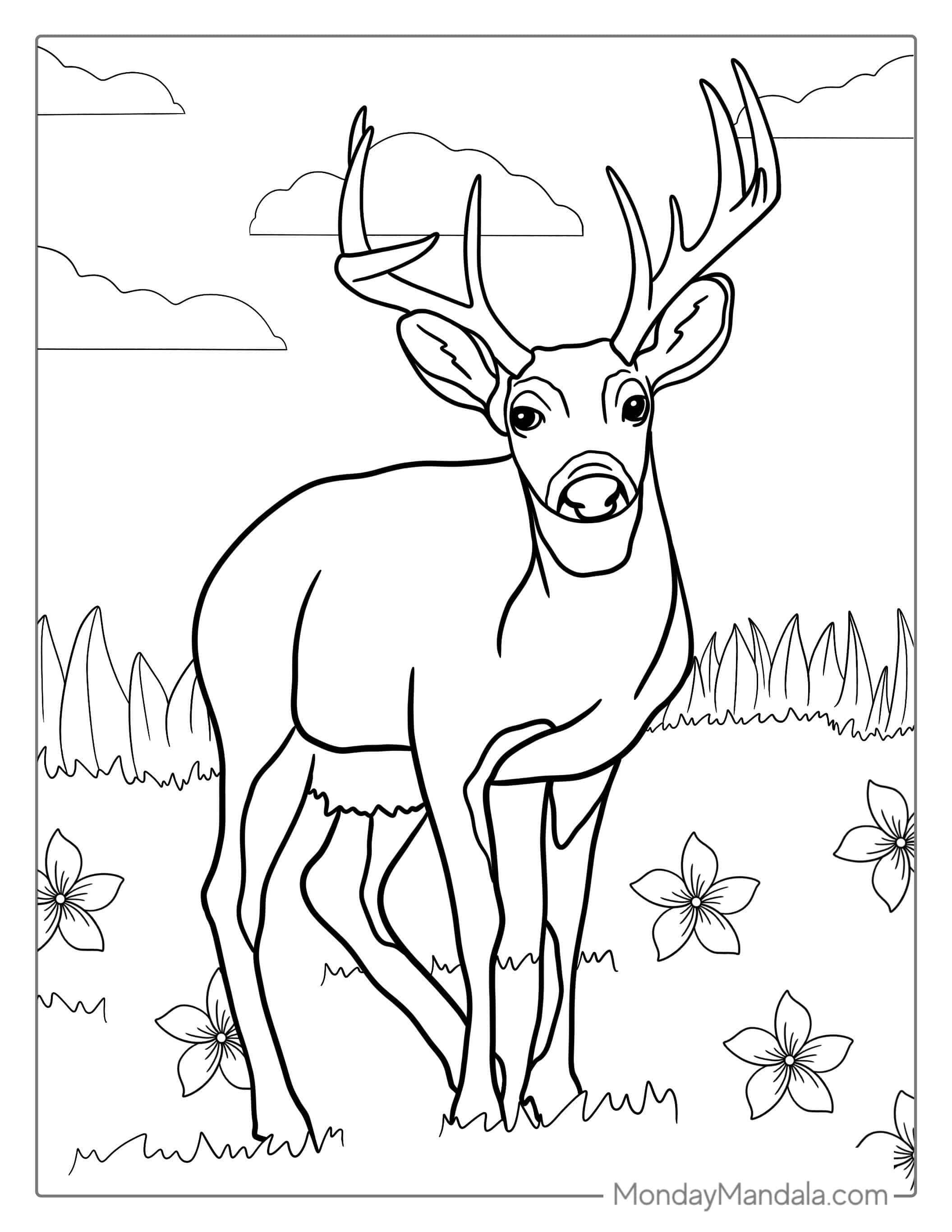 Realistic Deer With Big Antlers Coloring Sheet coloring page — printable line art