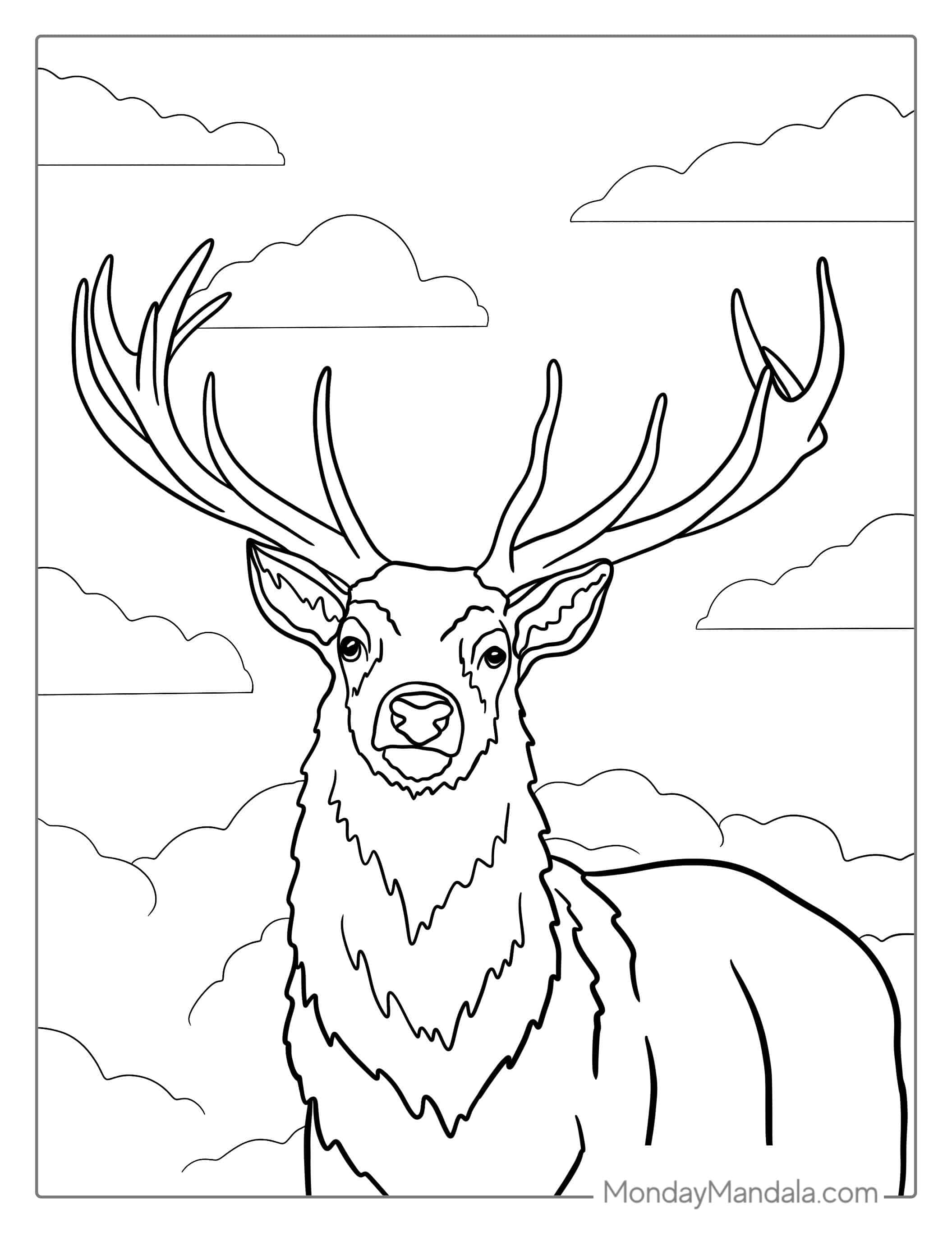 White Tailed Buck With Antlers To Color coloring page — printable line art