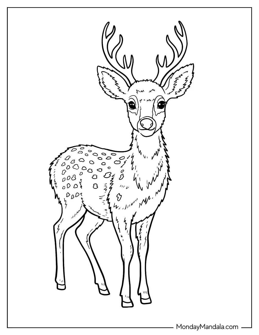 Young Spotted Deer Coloring Page with Antler coloring page — printable line art