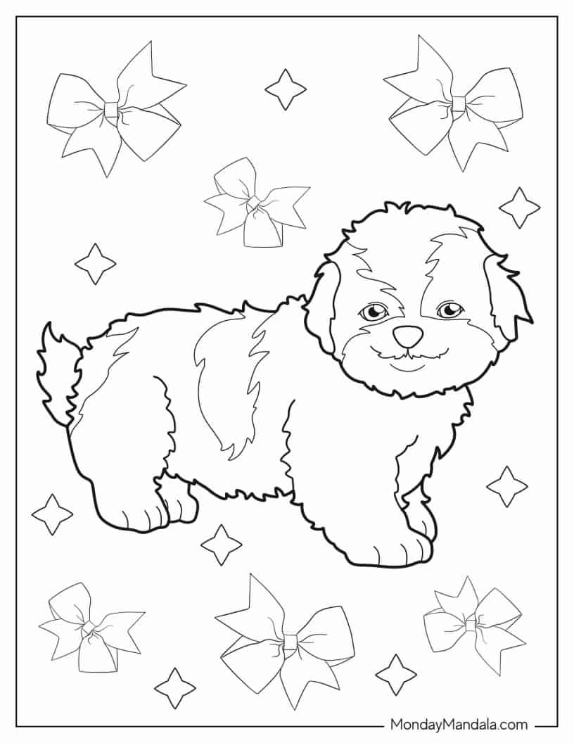 Adorable Shih Tzu To Color coloring page