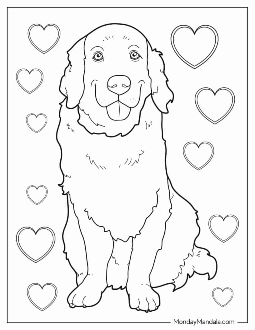 Adult Golden Retriever Coloring Page coloring page — printable line art