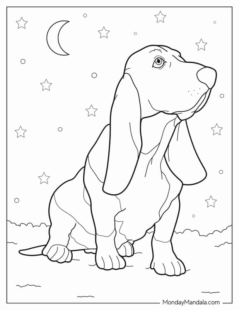Basset Hound Looking Up coloring page — printable line art