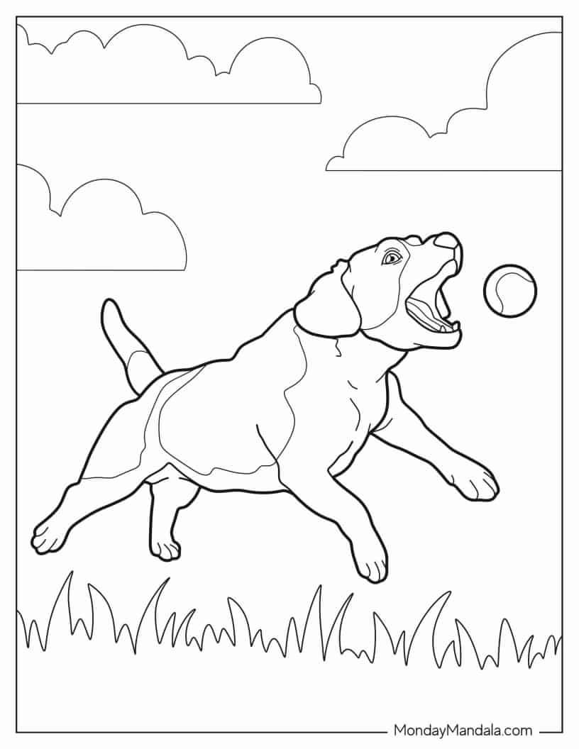Beagle Chasing Ball To Color coloring page — printable line art