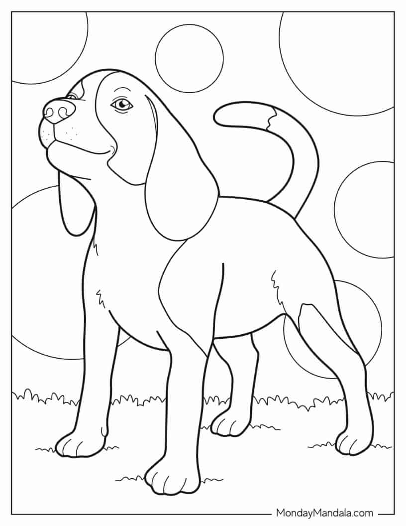 Beagle Puppy On Grass coloring page — printable line art
