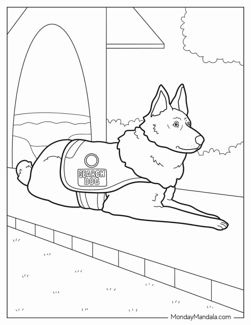 Belgian Malinois Search Dog To Color coloring page — printable line art