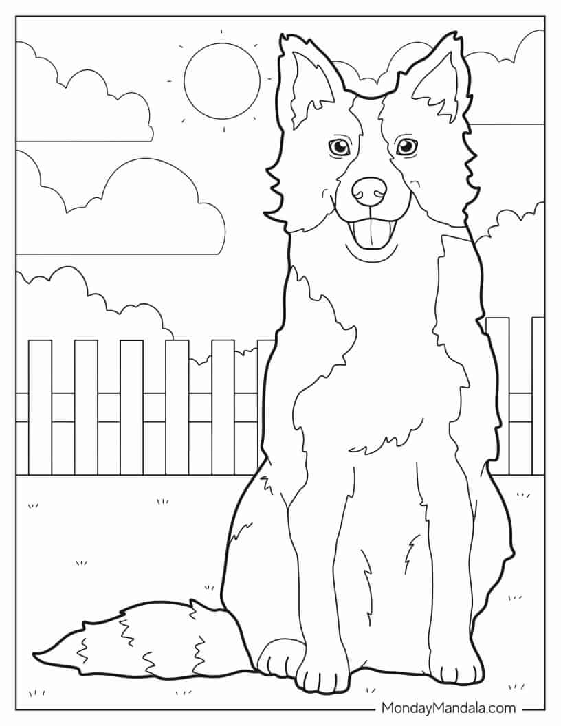 Border Collie Dog In Backyard Coloring Sheet coloring page — printable line art