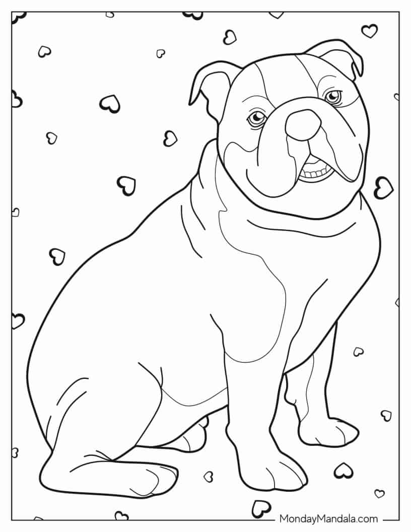 Coloring Page Of American Bulldog coloring page