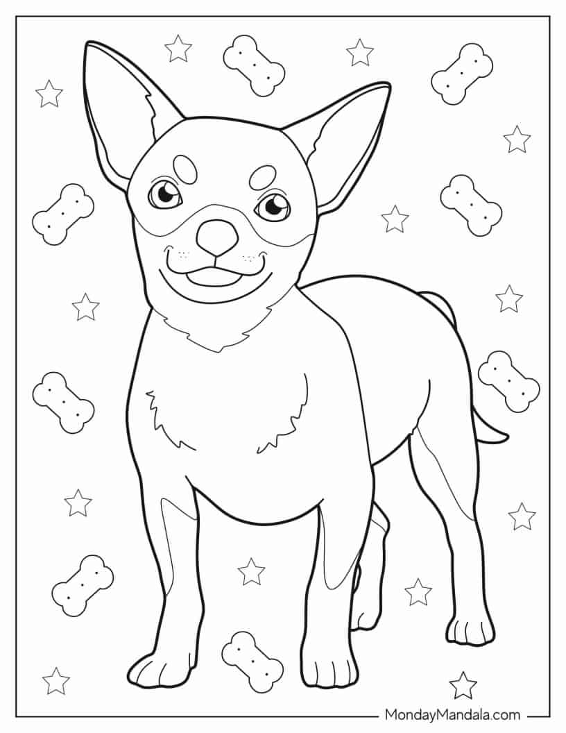Coloring Page Of Cute Chihuahua coloring page