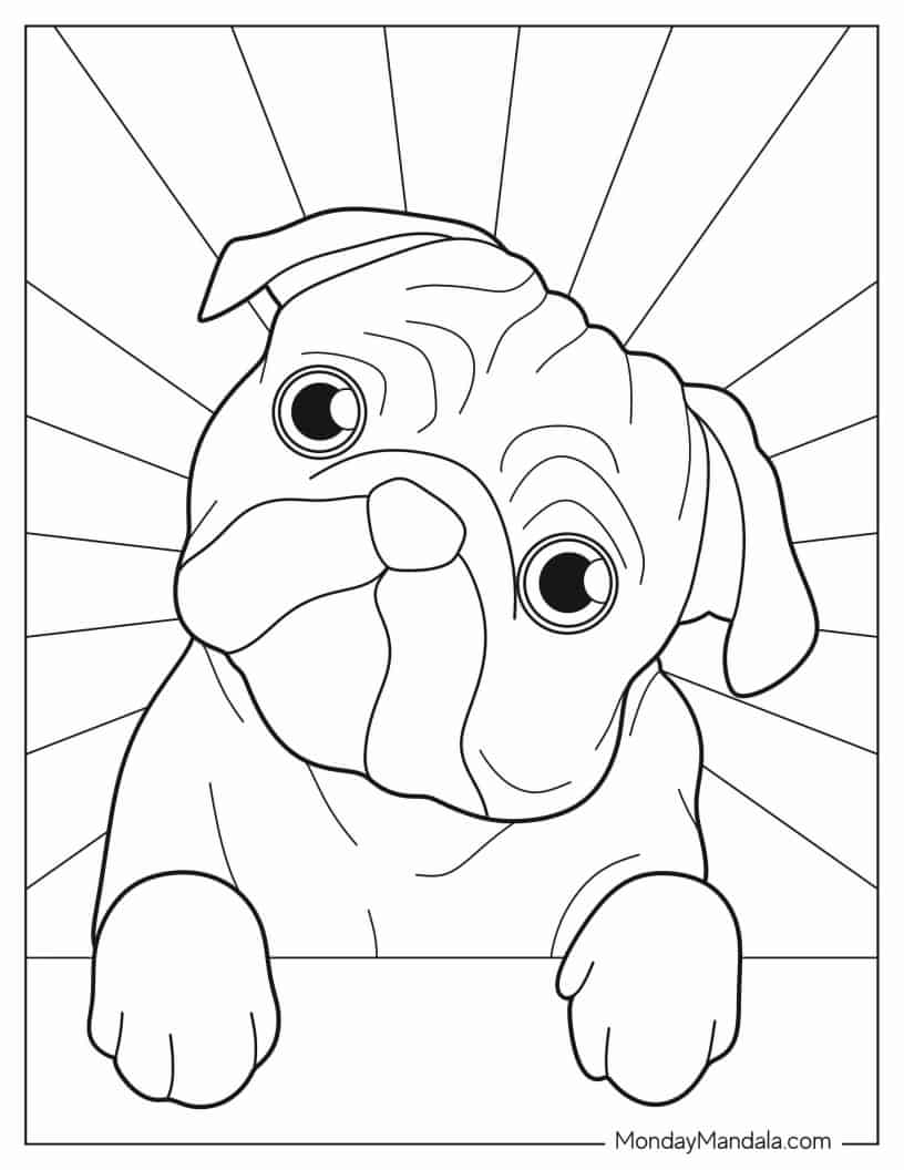 Coloring Page Of Pug With Tilted Head coloring page — printable line art