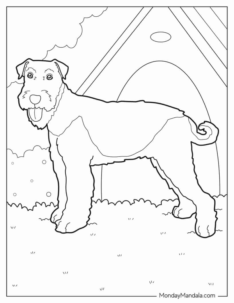 Coloring Page Of Terrier In Front Of Dog House coloring page