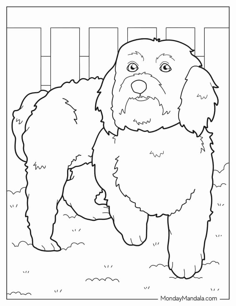 Coloring Sheet Of Maltese Dog With Paw Up coloring page