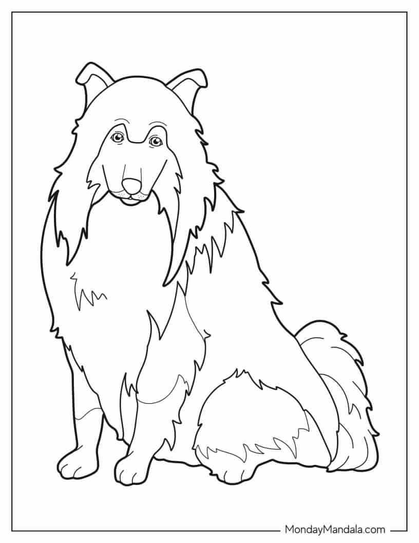 Easy Outline Of Rough Collie To Color coloring page — printable line art