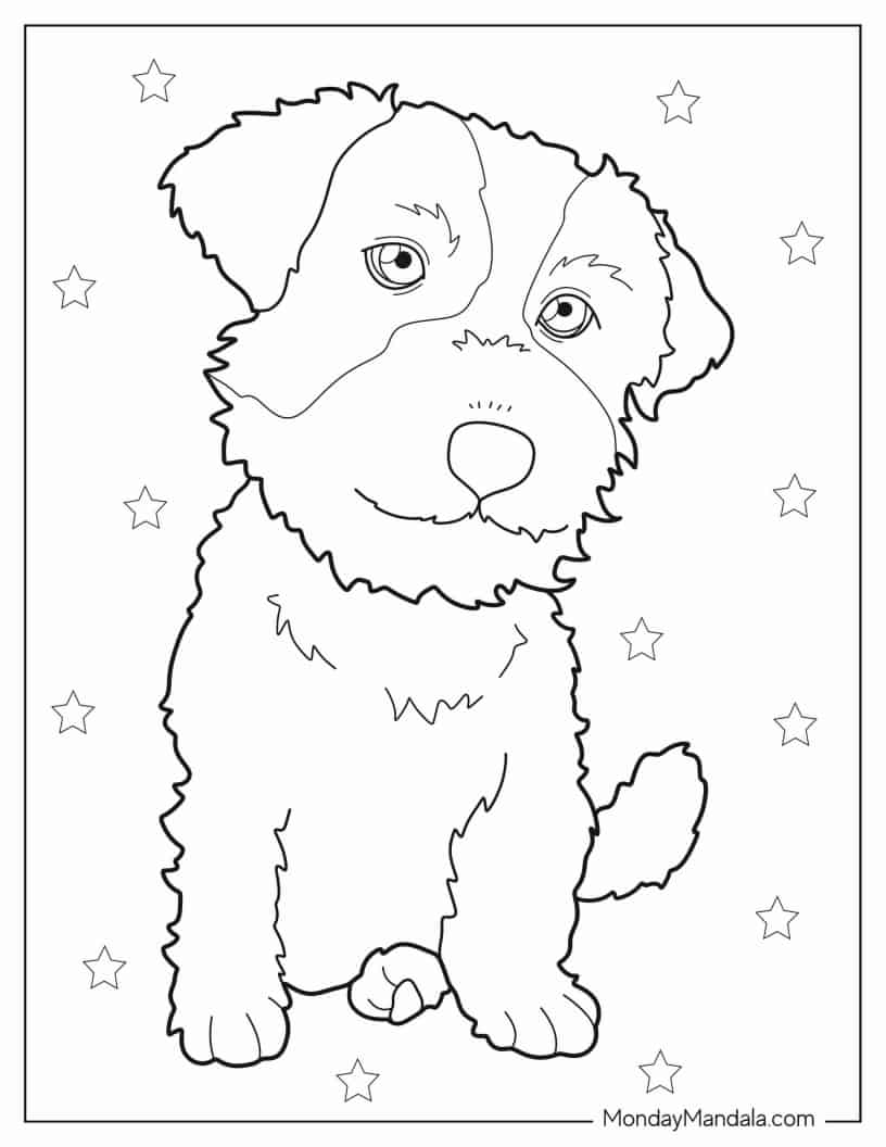 Furry Jack Russell Terrier coloring page — printable line art