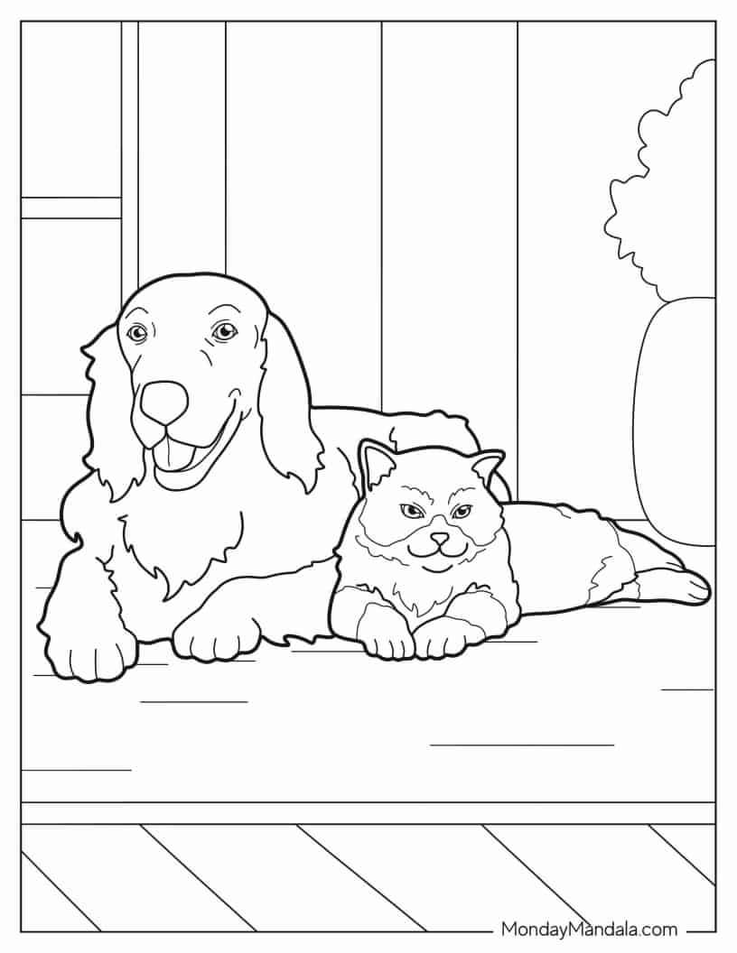 Golden Retriever And Cat Sitting Together Coloring Page coloring page — printable line art