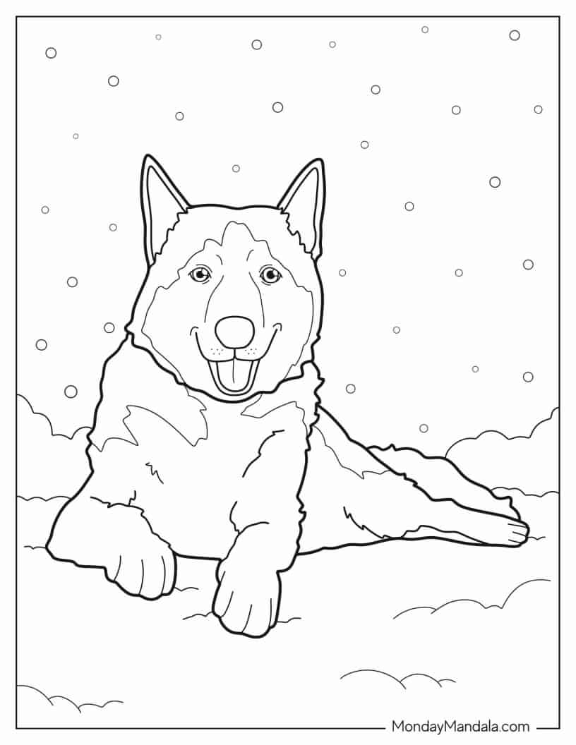 Husky In The Snow Coloring In coloring page — printable line art