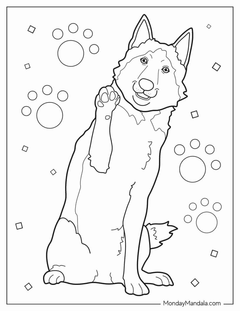 Husky With Paw Up coloring page