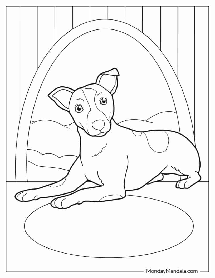 Jack Russell Terrier Puppy coloring page
