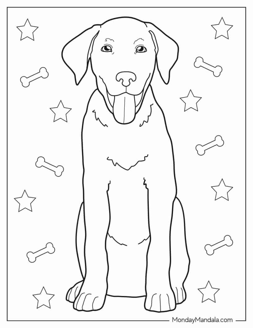 Labrador Puppy Coloring Sheet For Kids coloring page — printable line art