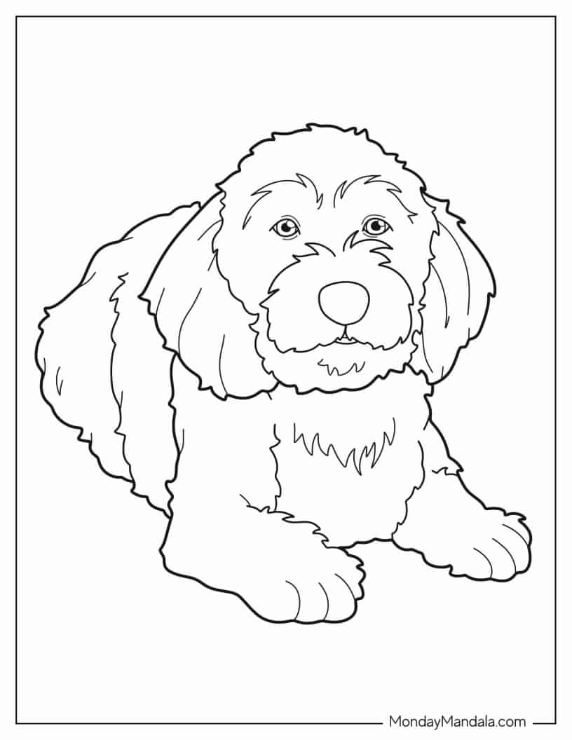 Large Basset Dog Lying Down coloring page