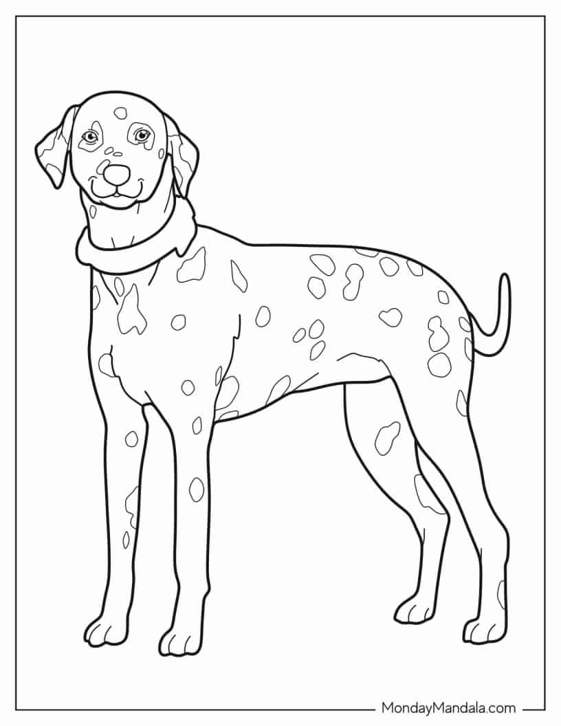 Large Dalmatian Dog Coloring Sheet coloring page — printable line art