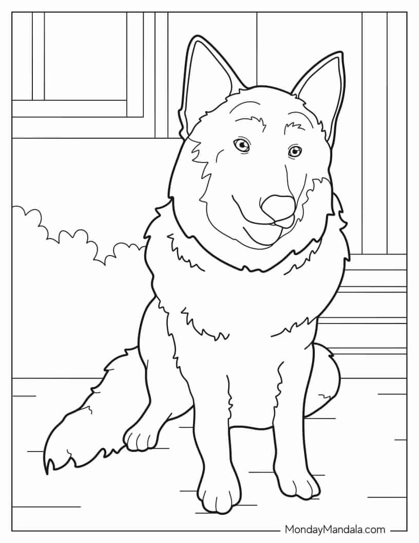 Outline Of Beglian Malinois Dog coloring page
