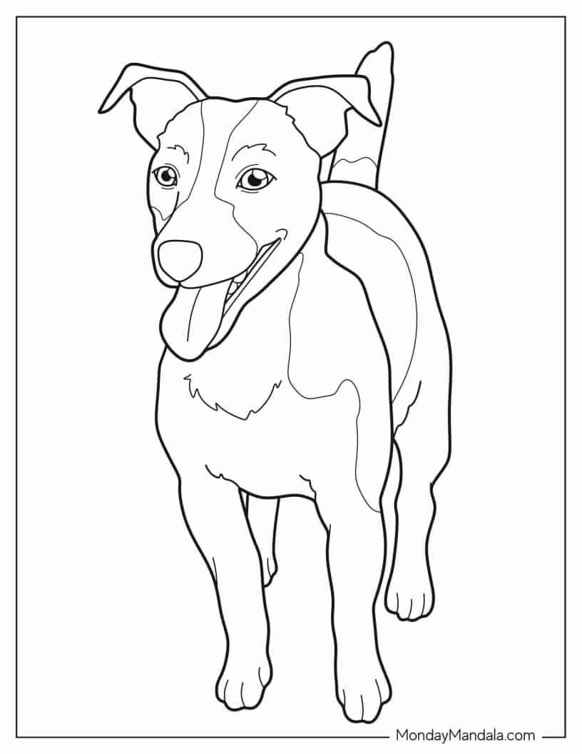 Playful Jack Russell Coloring Page For Kids coloring page — printable line art