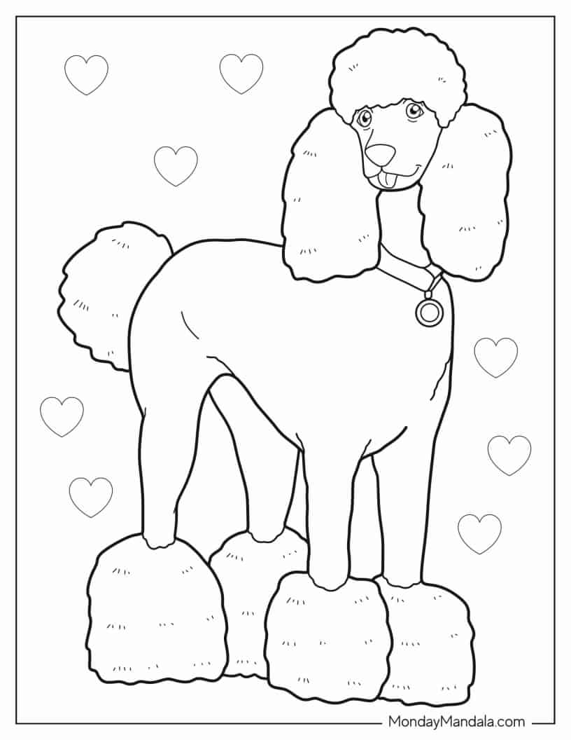 Poodle Dog With Collar coloring page — printable line art